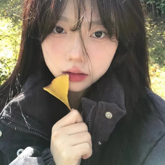 妮基塔第三季
